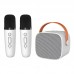 2025 newest model microphone speaker bluetooth speaker wireless speaker for children